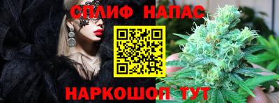 a pvp Ирбит