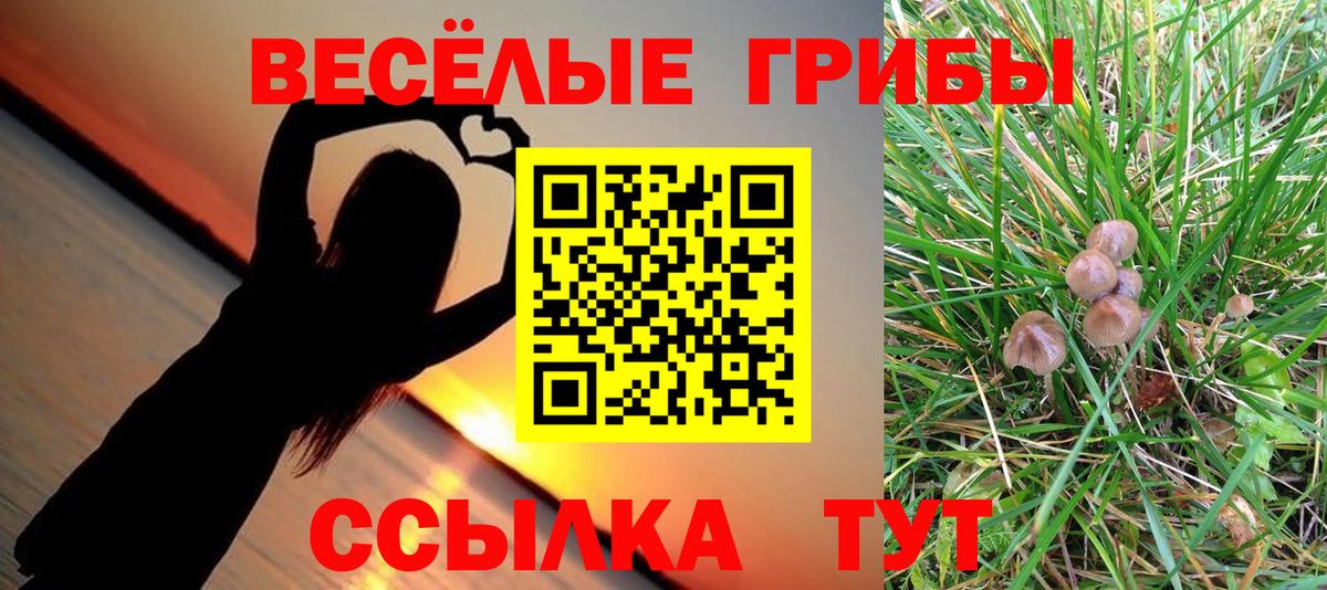 Галлюциногенные грибы GOLDEN TEACHER Дальнегорск